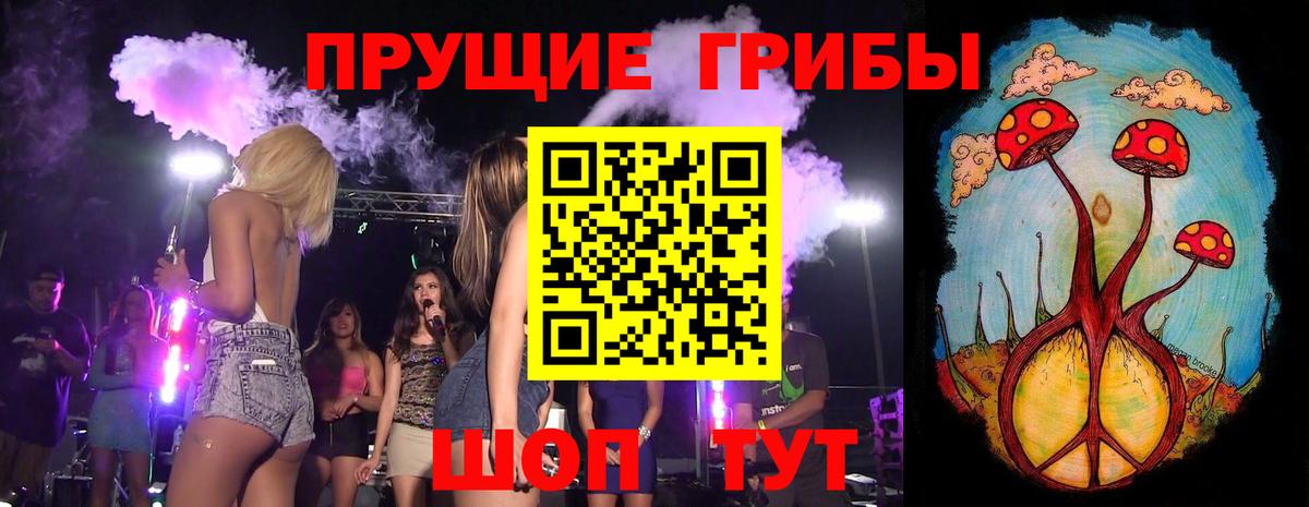 Ликино-Дулёво  Галлюциногенные грибы Cubensis  Вход с VPN 
